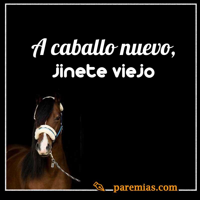 A caballo nuevo, jinete viejo