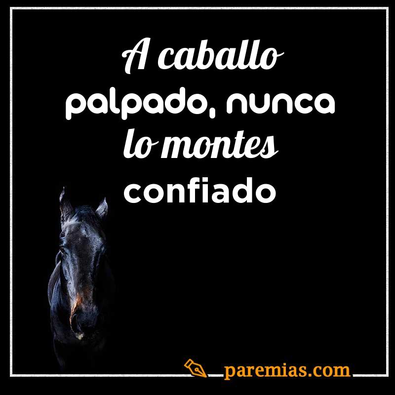 A caballo palpado, nunca lo montes confiado