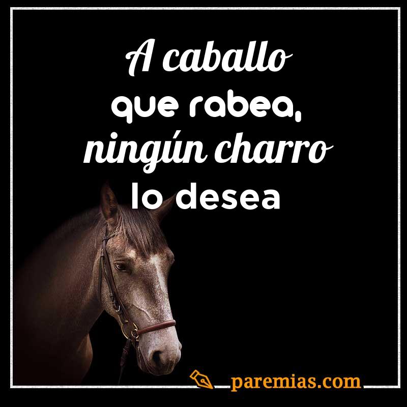 A caballo que rabea, ningún charro lo desea