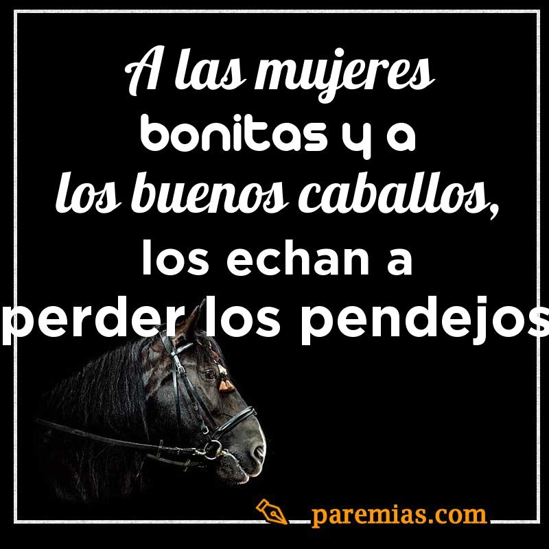 A las mujeres bonitas y a los buenos caballos, los echan a perder los pendejos