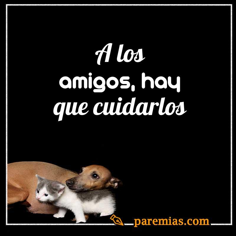 A los amigos, hay que cuidarlos