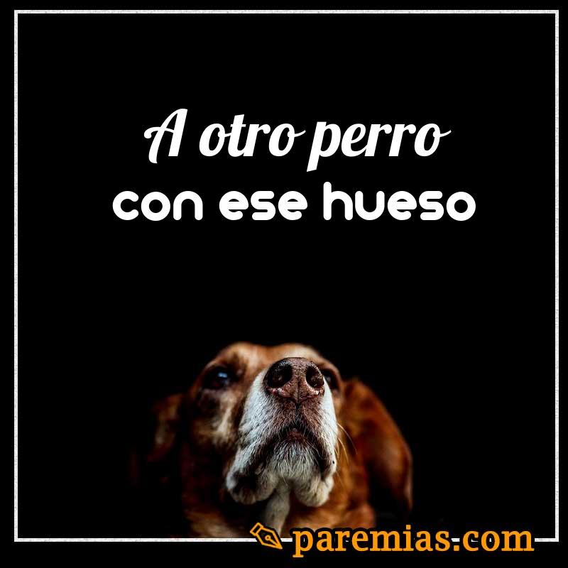 A otro perro con ese hueso