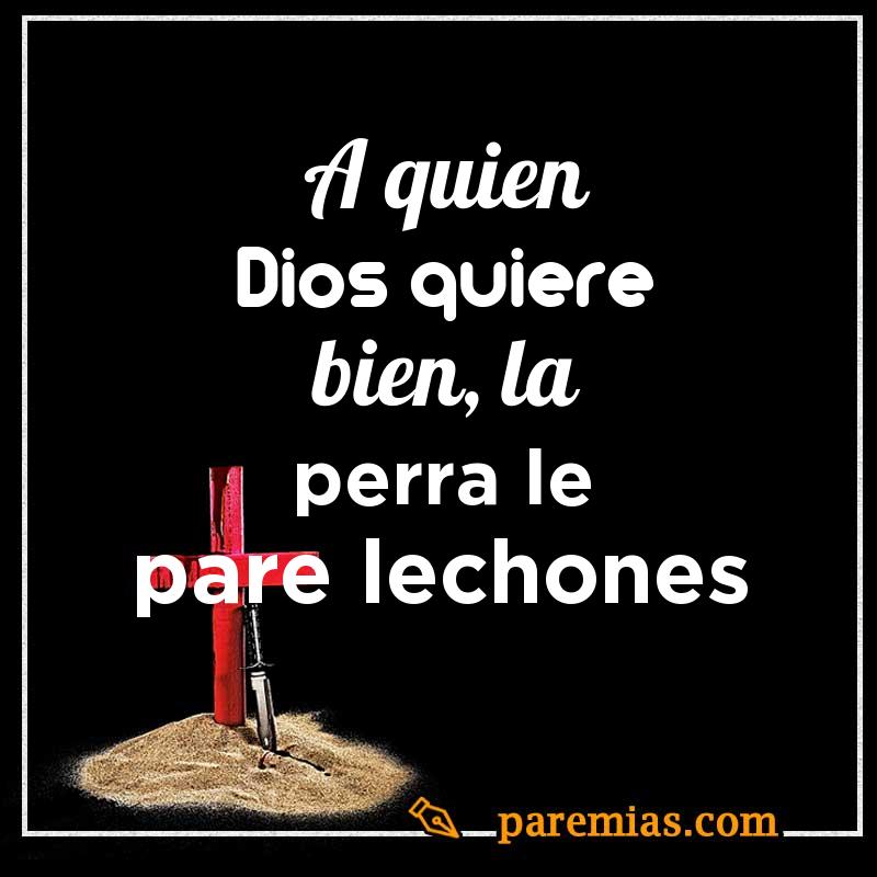A quien Dios quiere bien, la perra le pare lechones