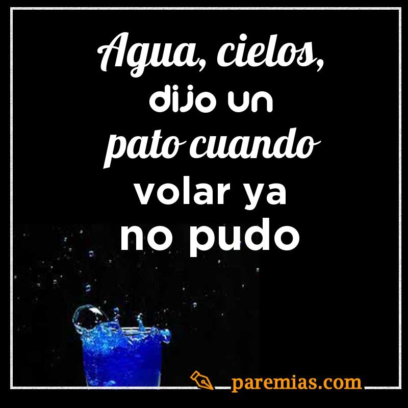 Agua, cielos, dijo un pato cuando volar ya no pudo