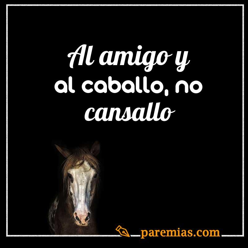 Al amigo y al caballo, no cansallo