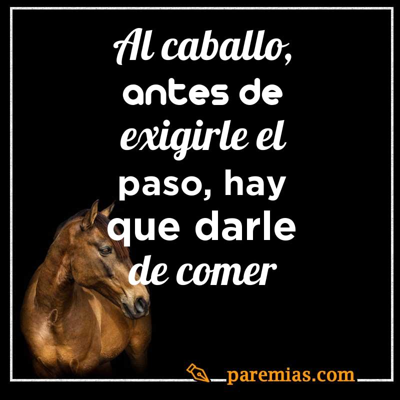 Al caballo, antes de exigirle el paso, hay que darle de comer