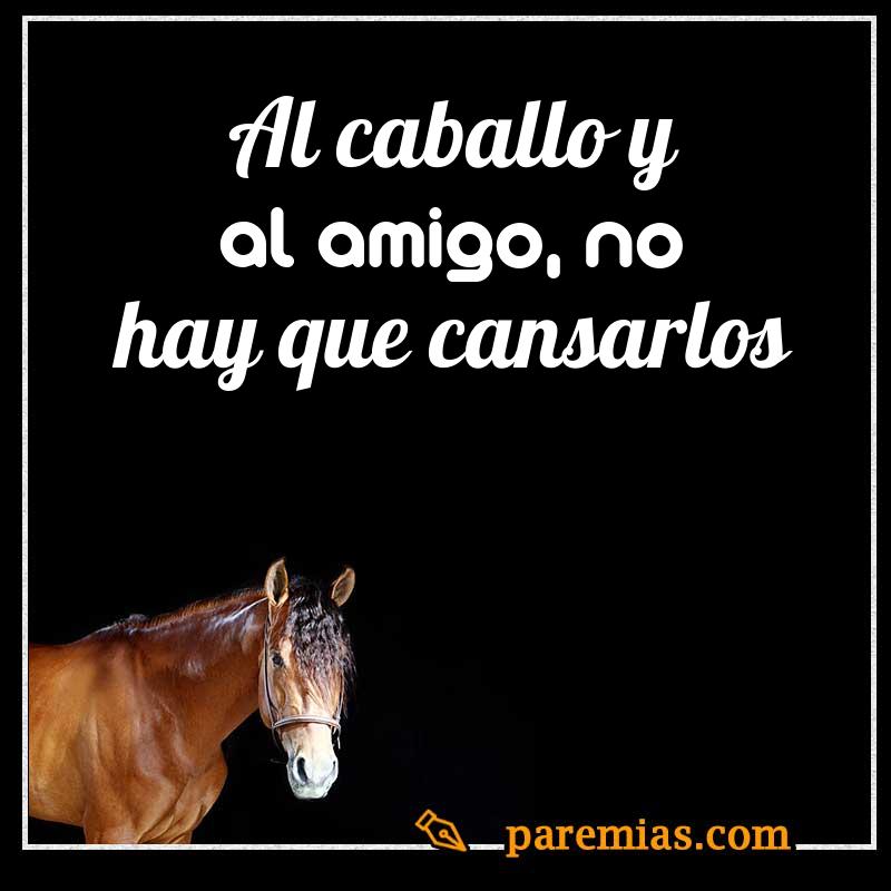 Al caballo y al amigo, no hay que cansarlos