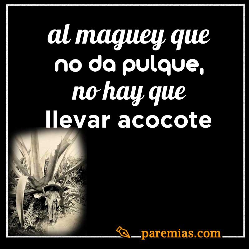 Al maguey que no da pulque, no hay que llevar acocote
