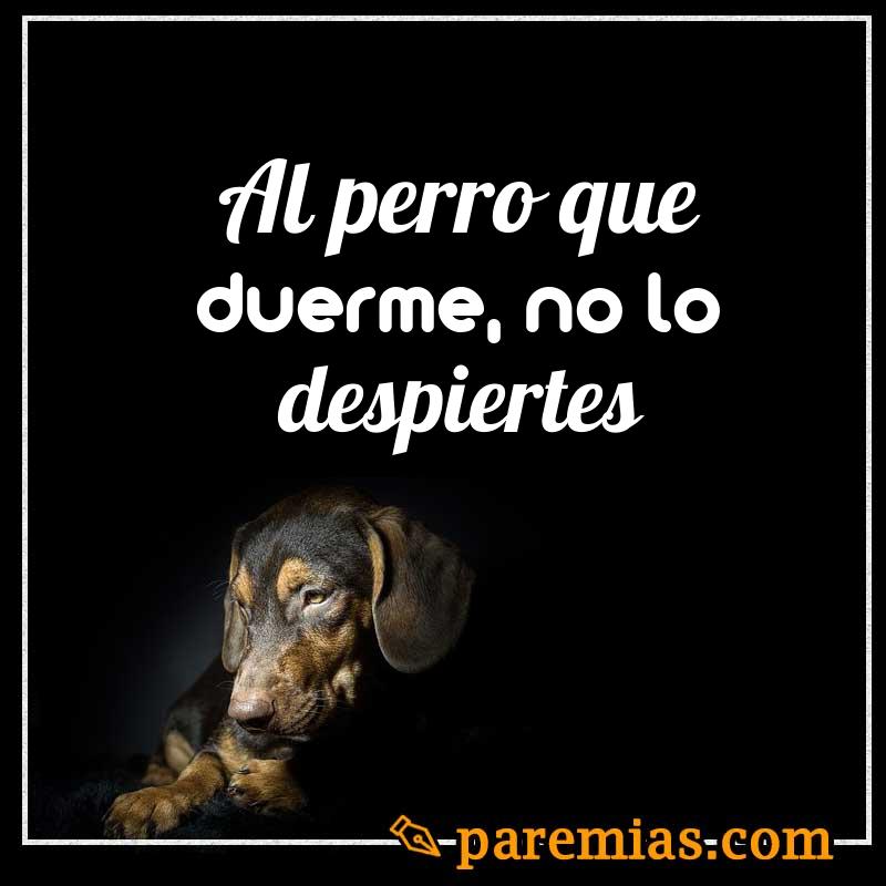 Al perro que duerme, no lo despiertes