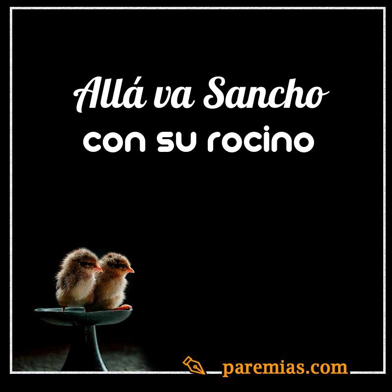 Allá va Sancho con su rocino