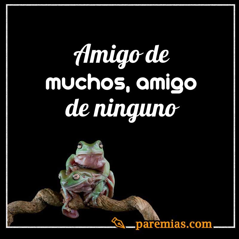 Amigo de muchos, amigo de ninguno