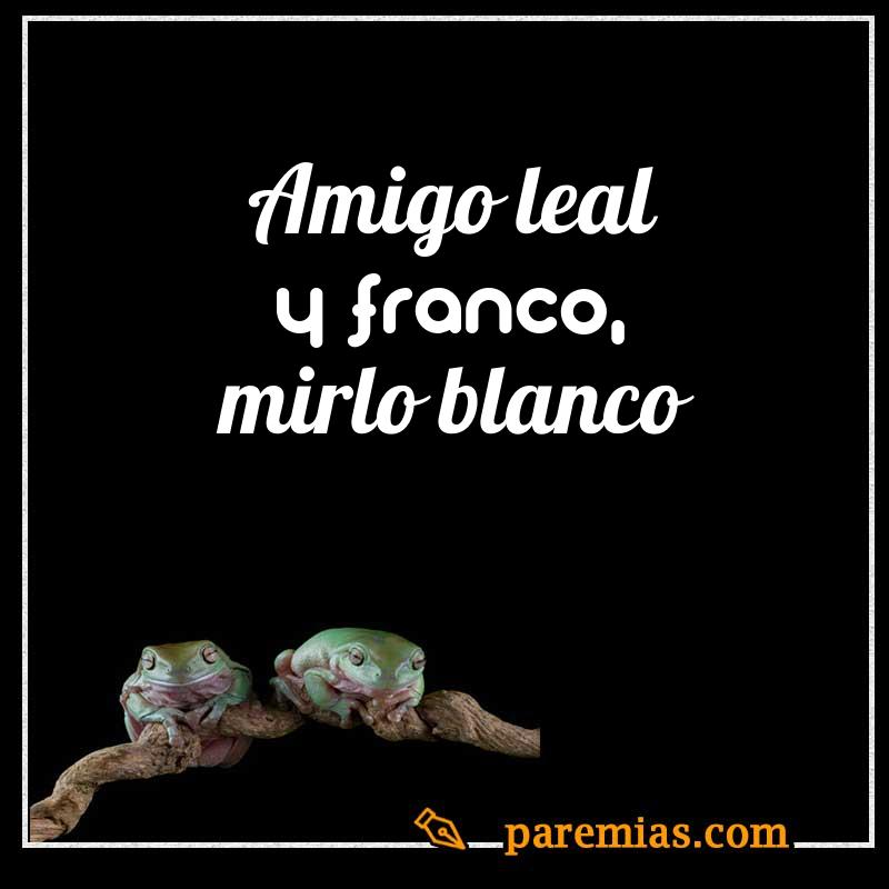 Amigo leal y franco, mirlo blanco