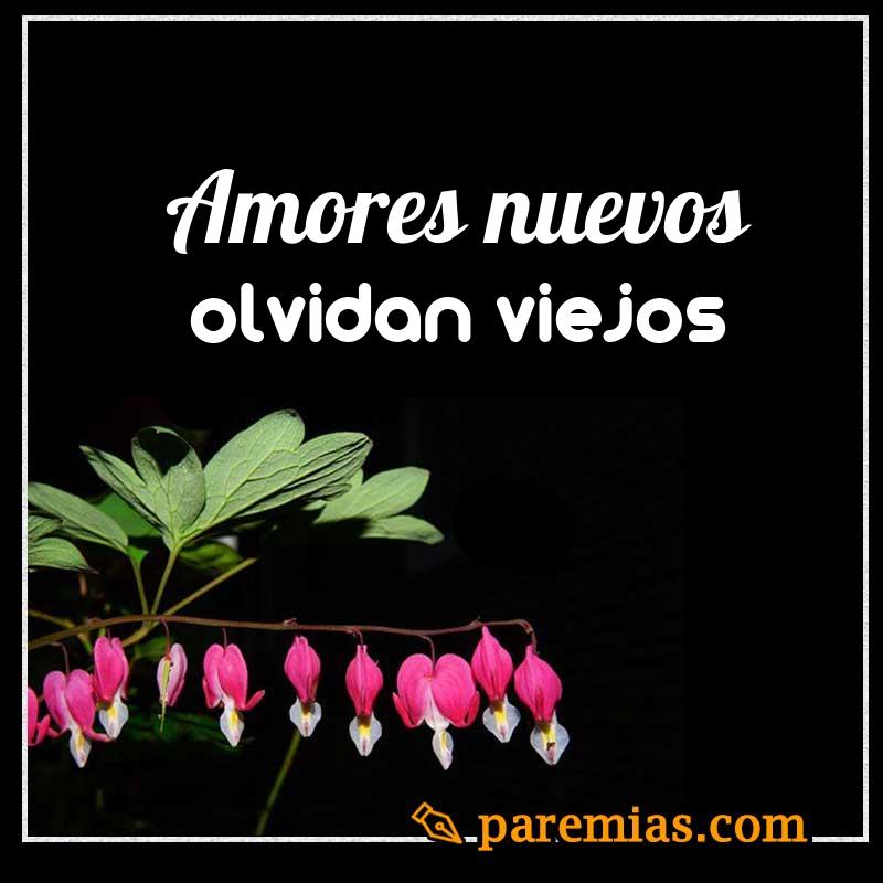 Amores nuevos olvidan viejos