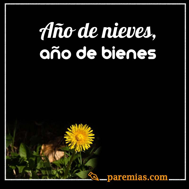 Año de nieves, año de bienes