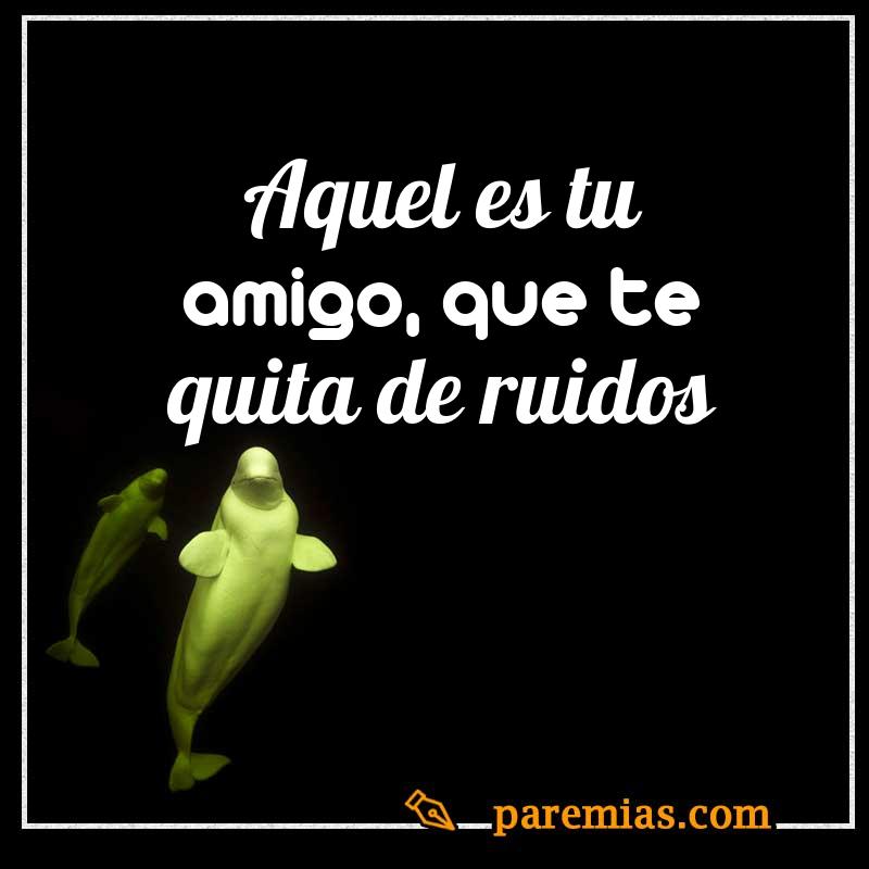 Aquel es tu amigo, que te quita de ruidos