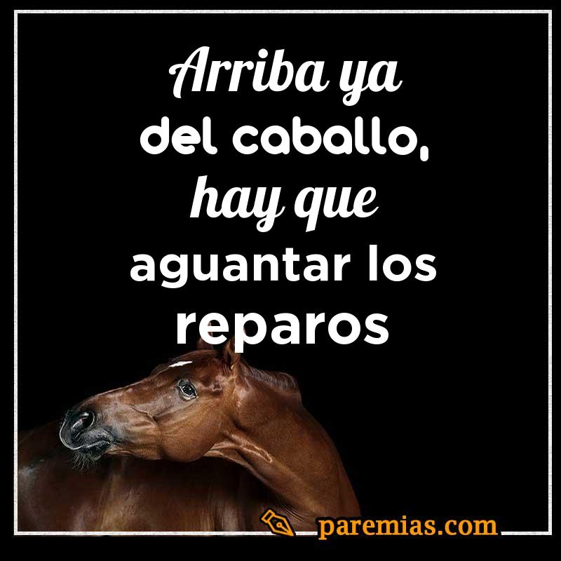 Arriba ya del caballo, hay que aguantar los reparos