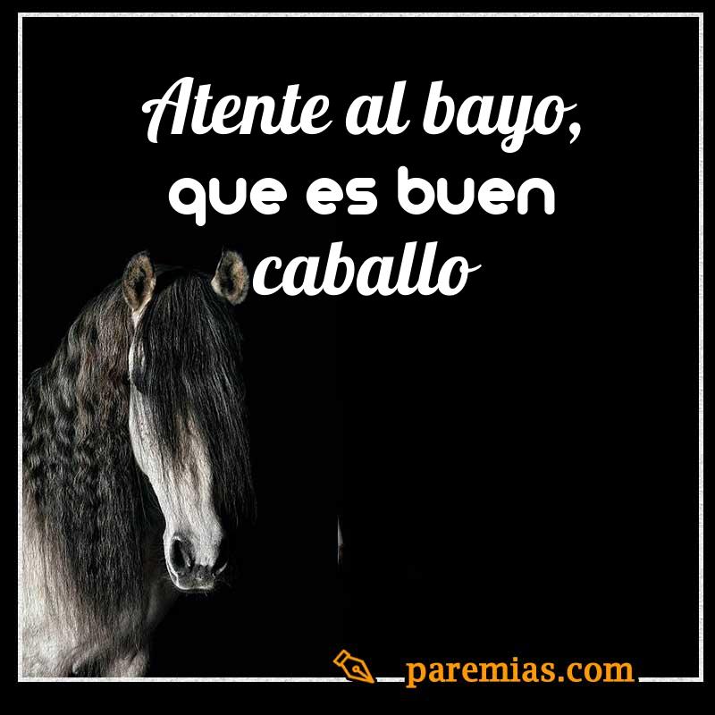 Atente al bayo, que es buen caballo