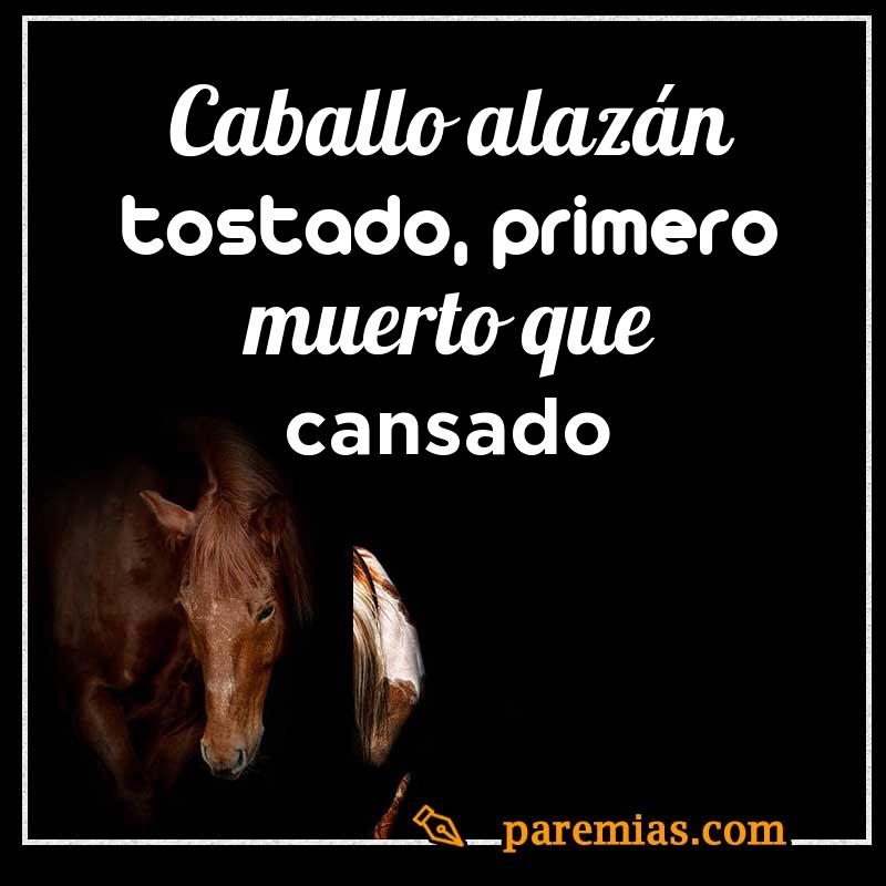 Caballo alazán tostado, primero muerto que cansado