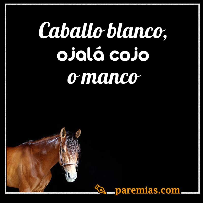 Caballo blanco, ojalá cojo o manco