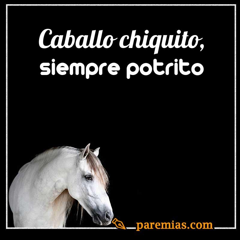 Caballo chiquito, siempre potrito