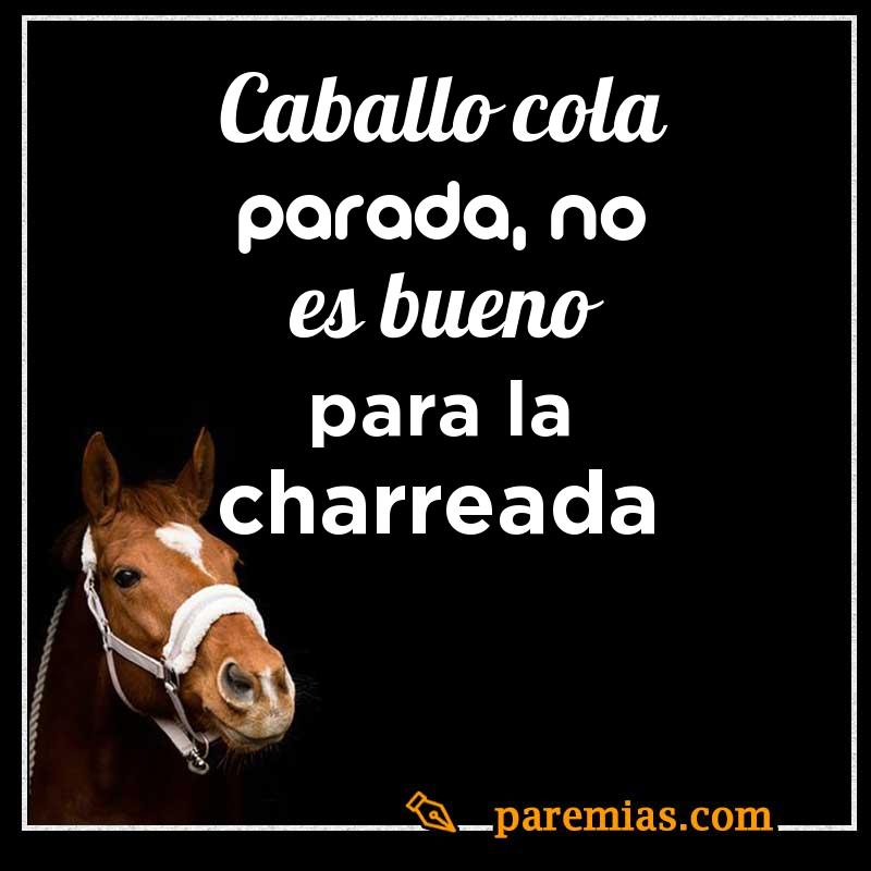 Caballo cola parada, no es bueno para la charreada