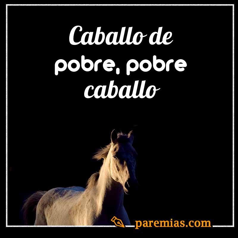 Caballo de pobre, pobre caballo