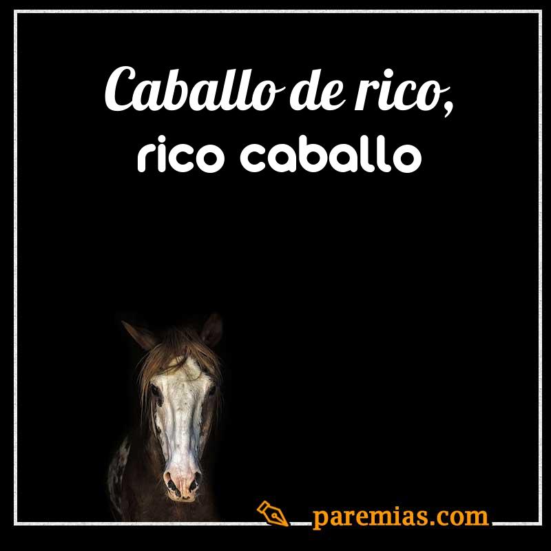 Caballo de rico, rico caballo