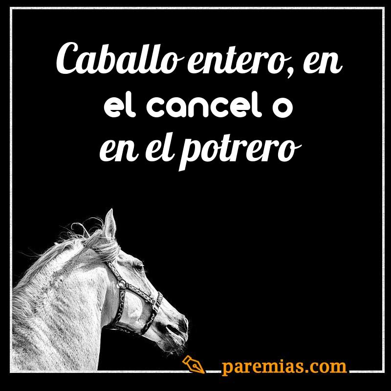 Caballo entero, en el cancel o en el potrero