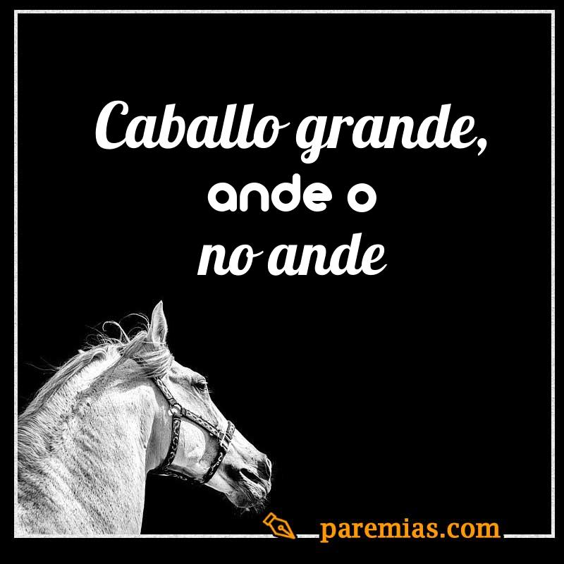 Caballo grande, ande o no ande