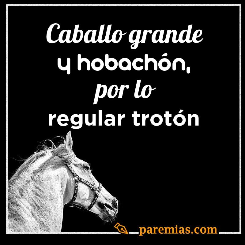 Caballo grande y hobachón, por lo regular trotón