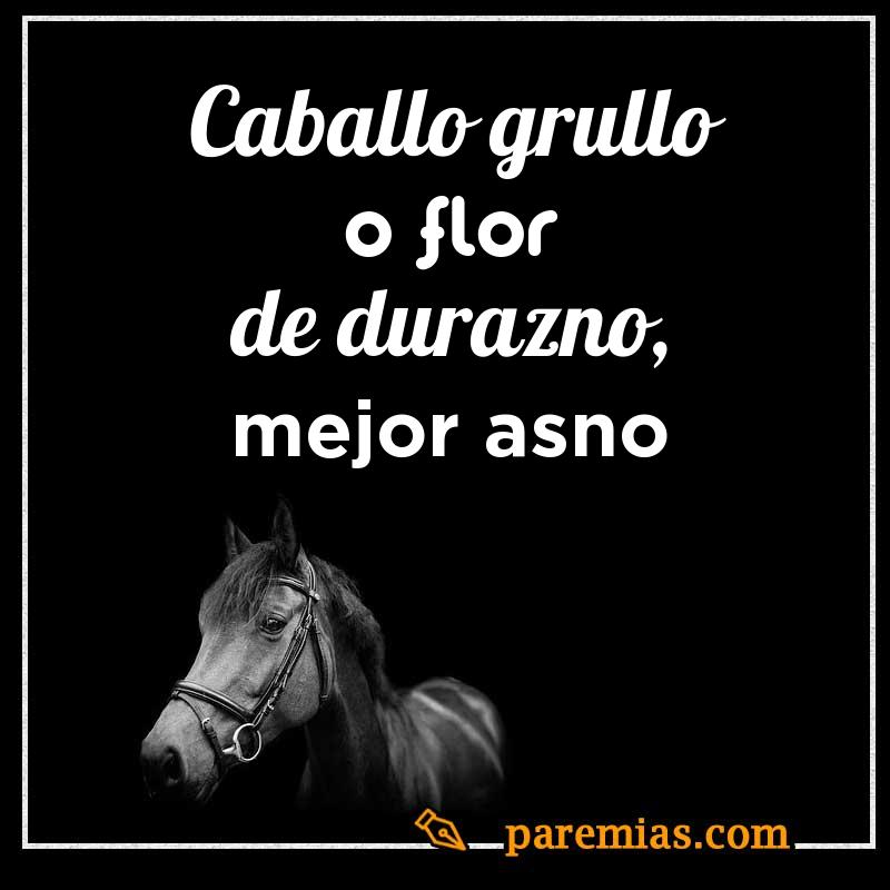 Caballo grullo o flor de durazno, mejor asno