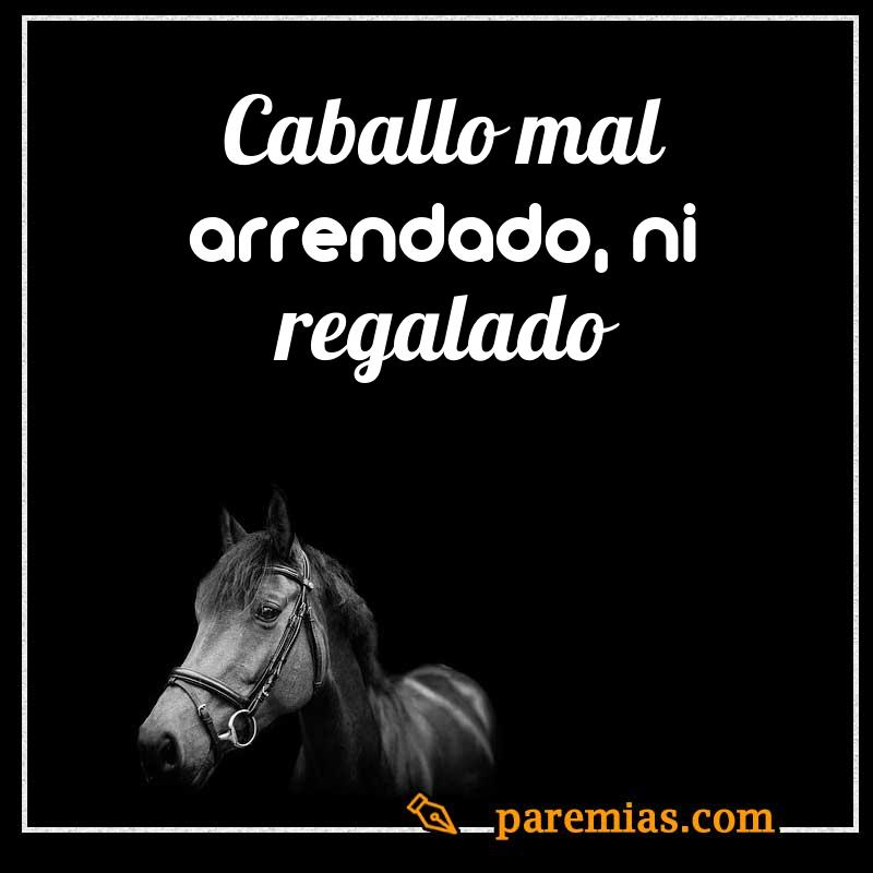 Caballo mal arrendado, ni regalado