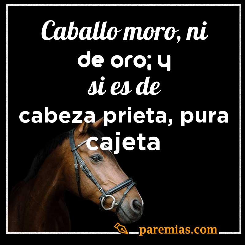 Caballo moro, ni de oro; y si es de cabeza prieta, pura cajeta
