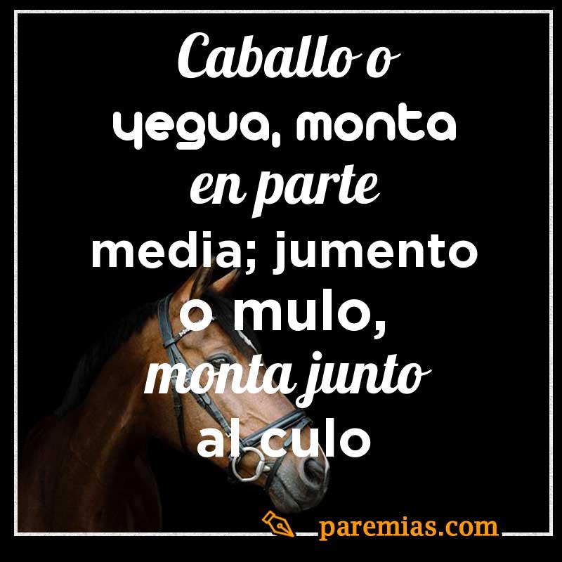 Caballo o yegua, monta en parte media; jumento o mulo, monta junto al culo