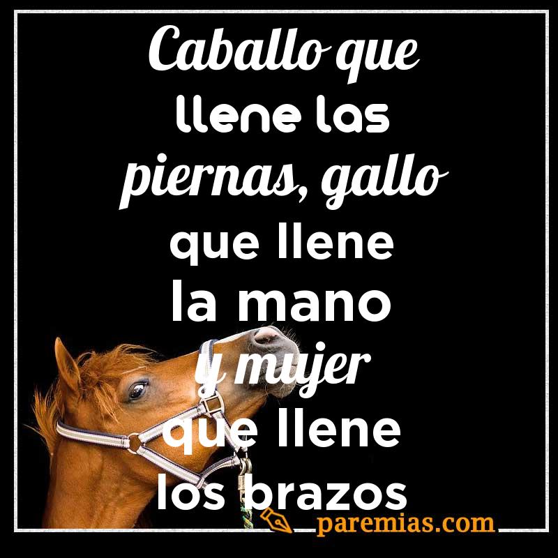 Caballo que llene las piernas, gallo que llene la mano y mujer que llene los brazos