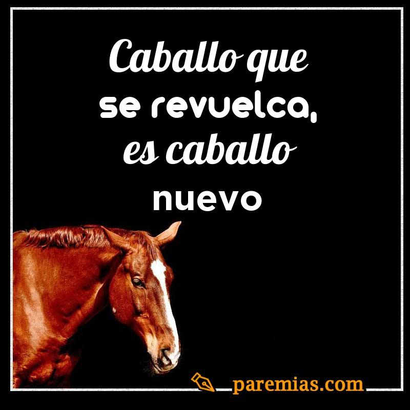 Caballo que se revuelca, es caballo nuevo