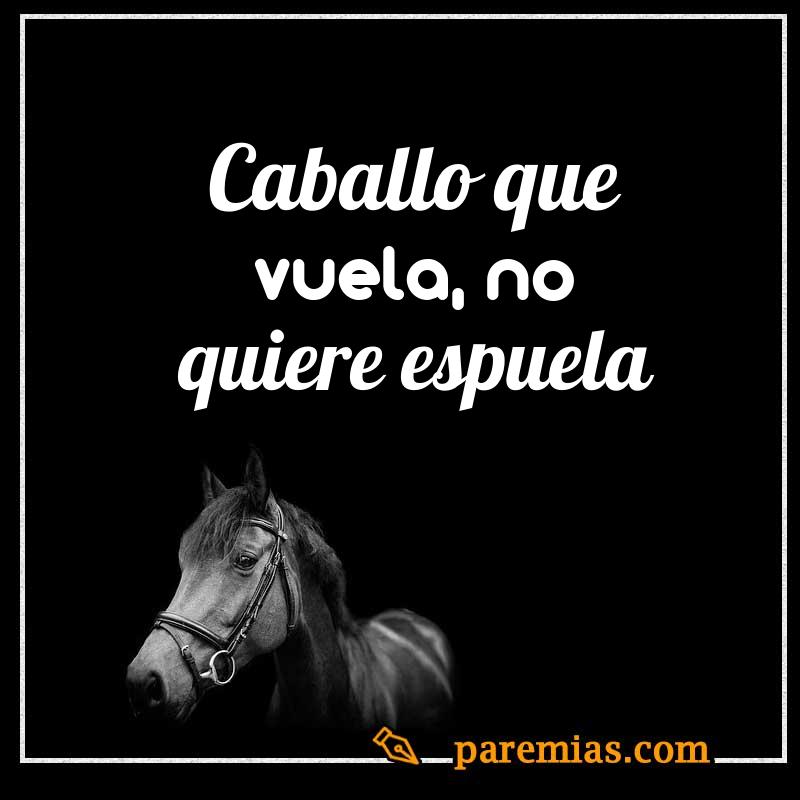 Caballo que vuela, no quiere espuela