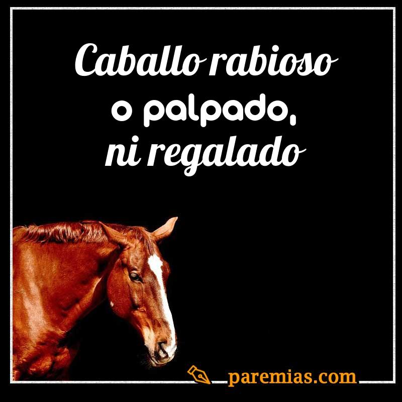 Caballo rabioso o palpado, ni regalado