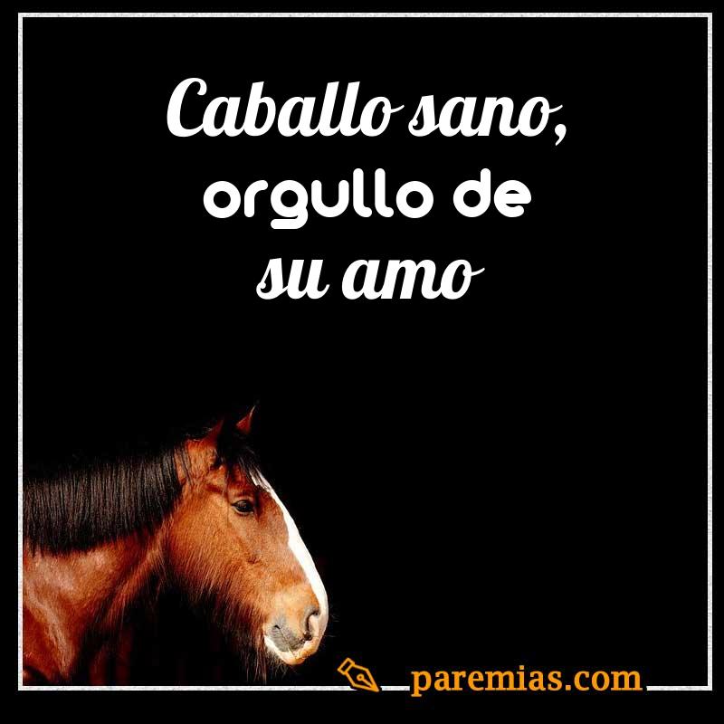 Caballo sano, orgullo de su amo