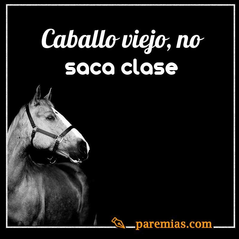 Caballo viejo, no saca clase