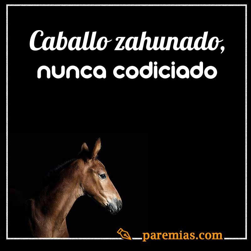 Caballo zahunado, nunca codiciado