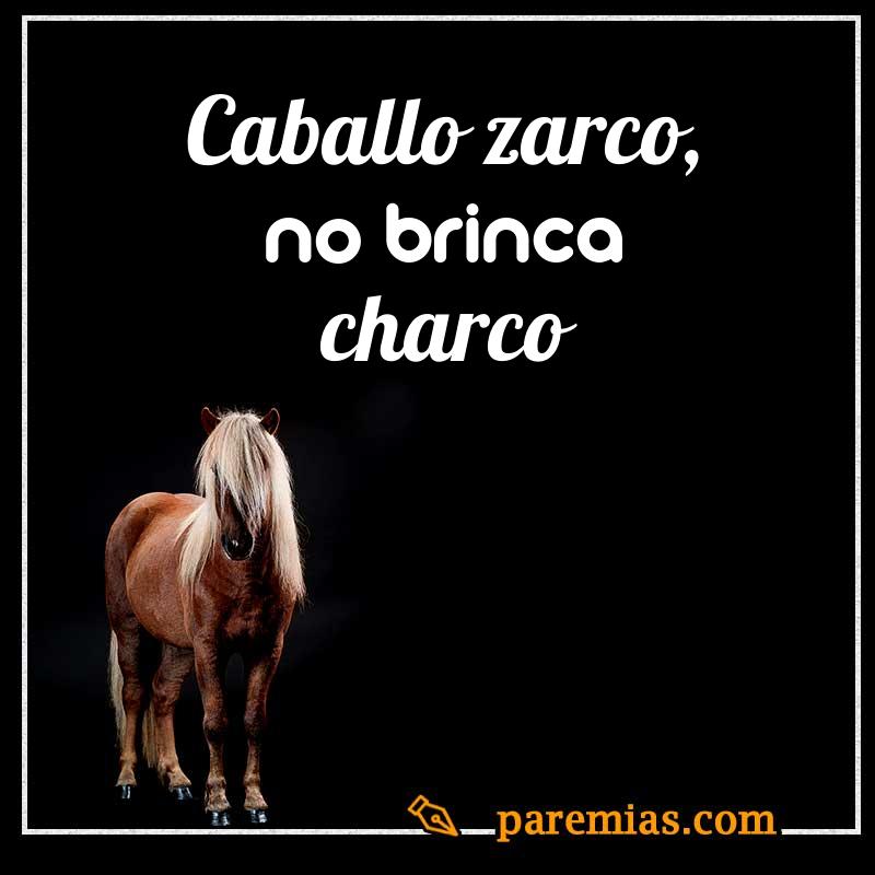 Caballo zarco, no brinca charco