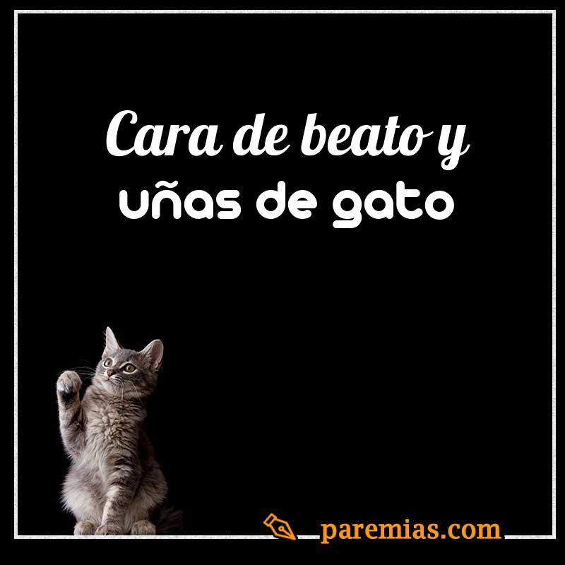 Cara de beato y uñas de gato