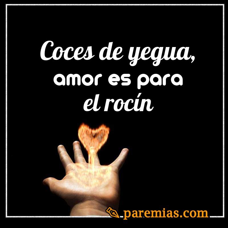 Coces de yegua, amor es para el rocín
