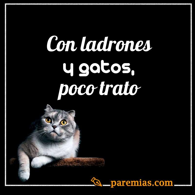 Con ladrones y gatos, poco trato