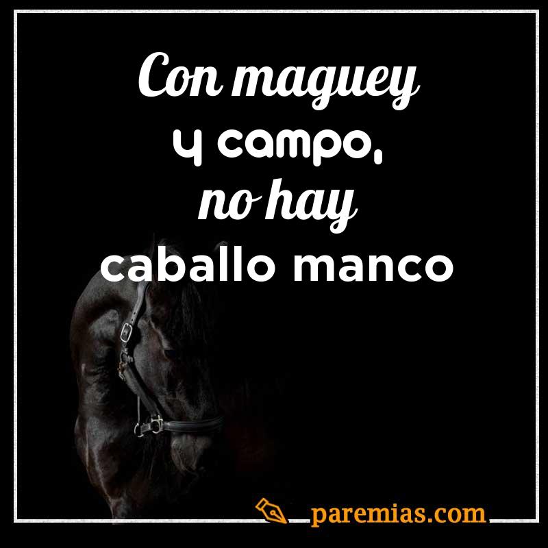 Con maguey y campo, no hay caballo manco