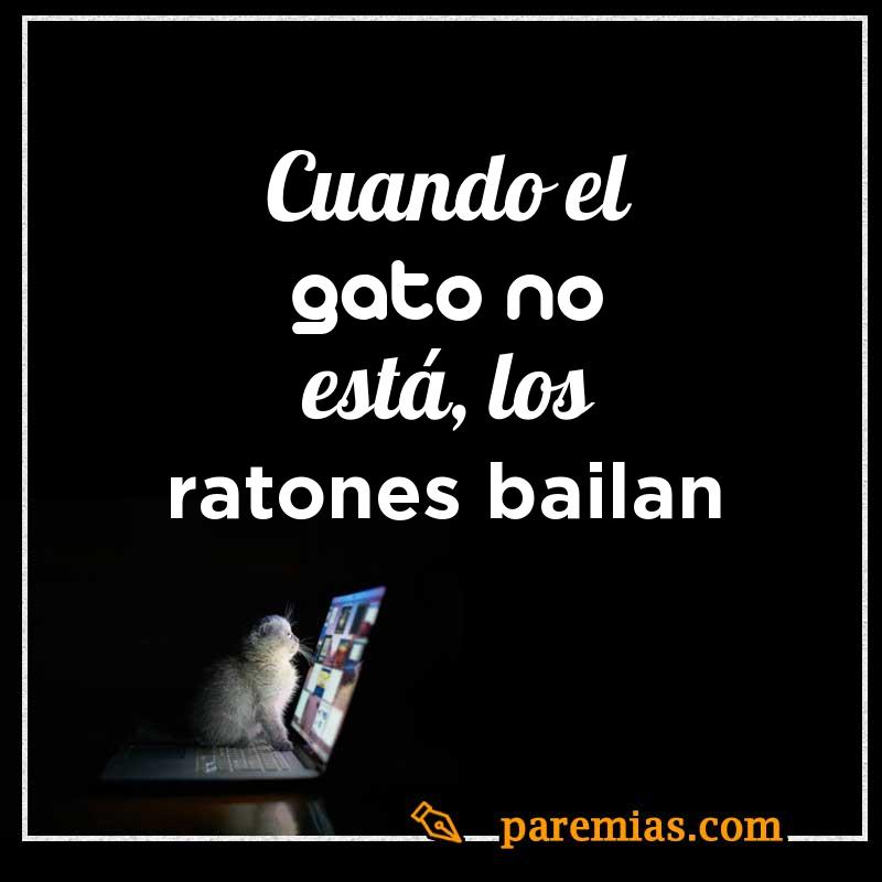 Cuando el gato no está, los ratones bailan