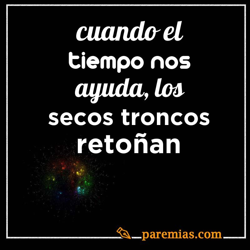Cuando el tiempo nos ayuda, los secos troncos retoñan