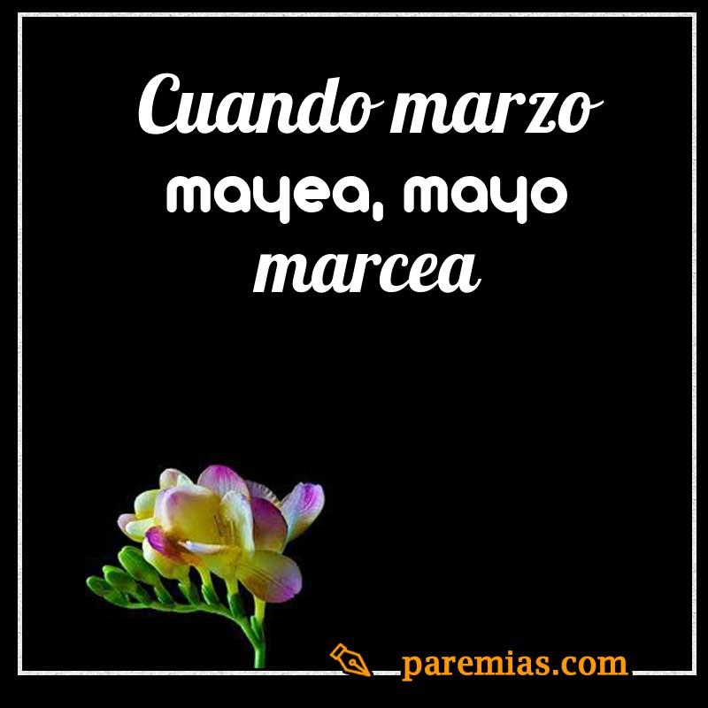 Cuando marzo mayea, mayo marcea