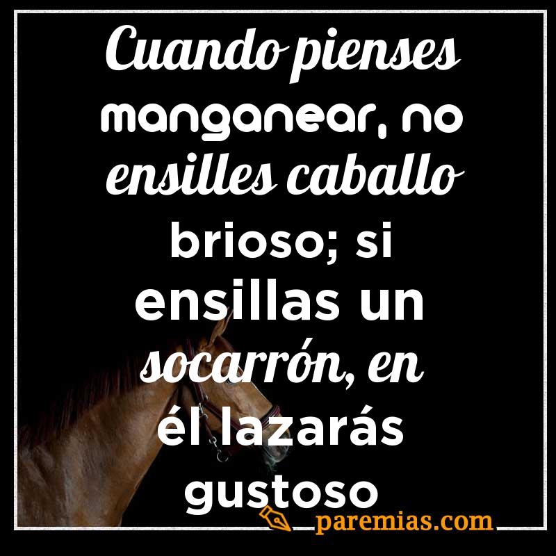 Cuando pienses manganear, no ensilles caballo brioso; si ensillas un socarrón, en él lazarás gustoso